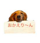 ミニチュアダックスの日常（個別スタンプ：32）