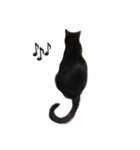 黒猫おはぎとなかまたち（個別スタンプ：4）