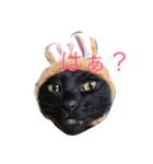 黒猫おはぎとなかまたち（個別スタンプ：5）
