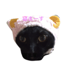 黒猫おはぎとなかまたち（個別スタンプ：6）