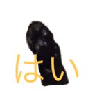黒猫おはぎとなかまたち（個別スタンプ：7）