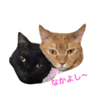 黒猫おはぎとなかまたち（個別スタンプ：13）