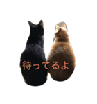 黒猫おはぎとなかまたち（個別スタンプ：15）