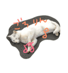 NORAにゃんず（個別スタンプ：13）