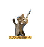 うにゃうにゃ トラ美さん（個別スタンプ：2）