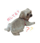 ミントとセイラ。時々はな。（個別スタンプ：6）
