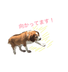 ミントとセイラ。時々はな。（個別スタンプ：11）