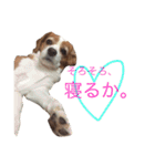 ミントとセイラ。時々はな。（個別スタンプ：13）