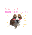 ミントとセイラ。時々はな。（個別スタンプ：18）