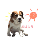 ミントとセイラ。時々はな。（個別スタンプ：23）