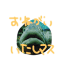 敬語すたんぷ（個別スタンプ：6）