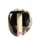 ニャンロニャンロ（個別スタンプ：3）
