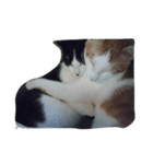 フニャ子とフニャ太郎（個別スタンプ：1）