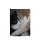 フニャ子とフニャ太郎（個別スタンプ：5）