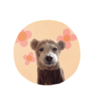 モカくん（個別スタンプ：6）