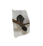 momonga（個別スタンプ：2）