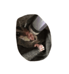 momonga（個別スタンプ：8）