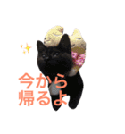 ウチの動物たちスタンプ（個別スタンプ：7）