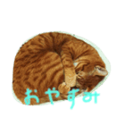 ぬぉぉおおおお（個別スタンプ：1）