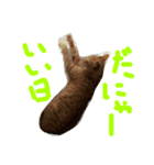 ぬぉぉおおおお（個別スタンプ：4）