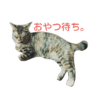 ちびとあんこと仲間たち（個別スタンプ：2）