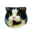 マウくん！（個別スタンプ：8）