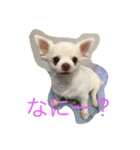 lovey yuki（個別スタンプ：1）