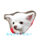 lovey yuki（個別スタンプ：4）