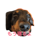 たっくんのひとり言（個別スタンプ：1）