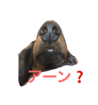 たっくんのひとり言（個別スタンプ：2）