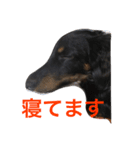 たっくんのひとり言（個別スタンプ：6）