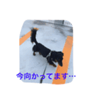 たっくんのひとり言（個別スタンプ：7）