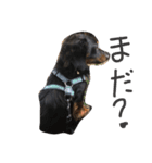 たっくんのひとり言（個別スタンプ：8）