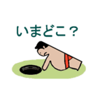 紙相撲（個別スタンプ：12）