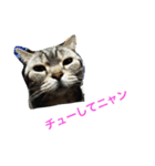 モモカの日常（個別スタンプ：4）