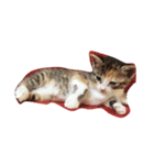 ツナさーんです。（個別スタンプ：2）
