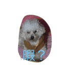 toy toy（個別スタンプ：8）