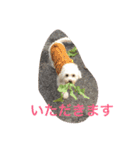 toy toy（個別スタンプ：10）