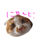 みいたさま（個別スタンプ：2）
