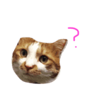 みいたさま（個別スタンプ：4）