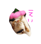 みいたさま（個別スタンプ：5）
