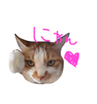 みいたさま（個別スタンプ：7）