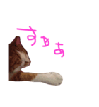 みいたさま（個別スタンプ：8）