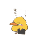 ひよくまお試し（個別スタンプ：5）
