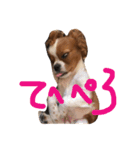 dande2（個別スタンプ：6）