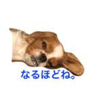 dande2（個別スタンプ：7）