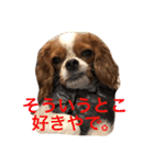dande2（個別スタンプ：8）