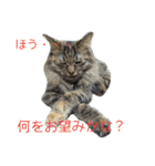 もかしょこ（個別スタンプ：2）