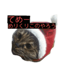 もかしょこ（個別スタンプ：4）