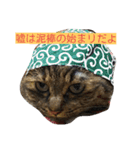 もかしょこ（個別スタンプ：10）